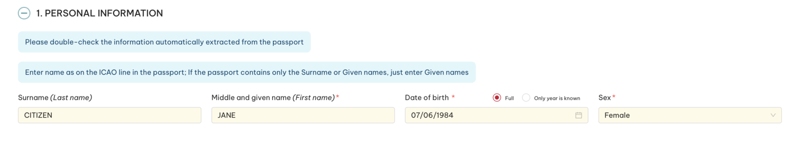 E-visa form with names